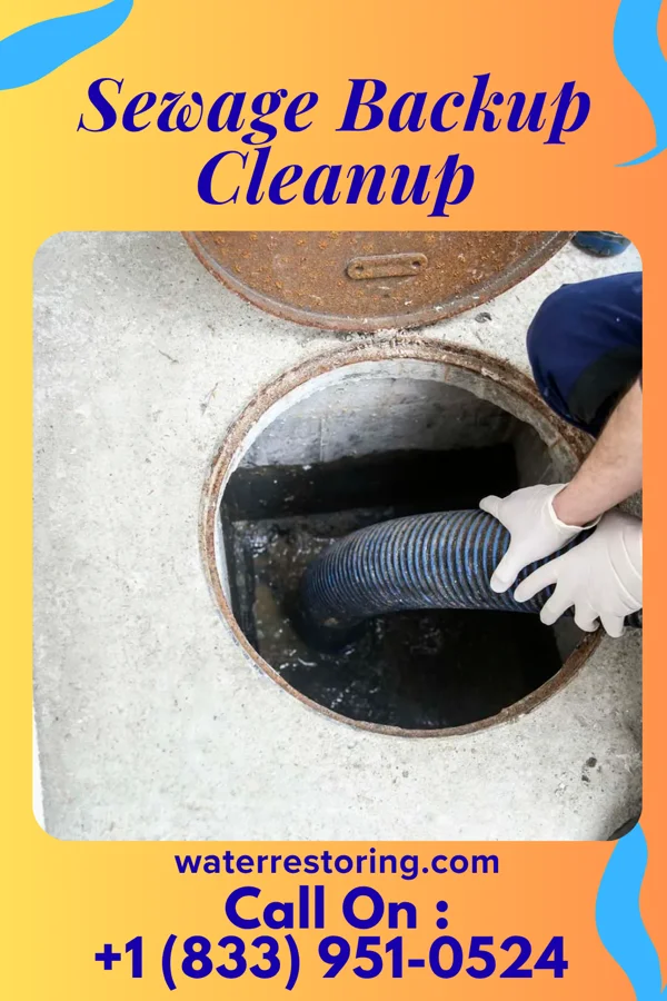 Sewage Backup Cleanup in Hackettstown, NJ
