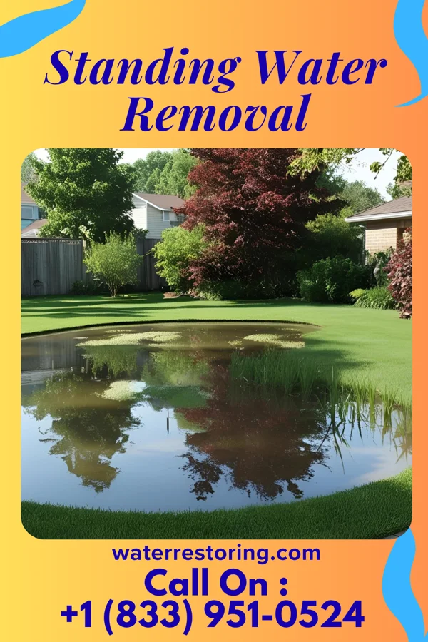 Standing Water Removal in Hackettstown, NJ